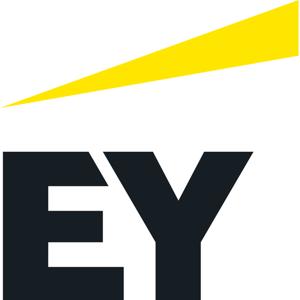 Logo EY - IAE Bordeaux Consulting