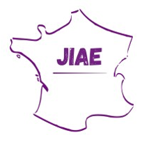 Logo JIAE - IAE Bordeaux Consulting